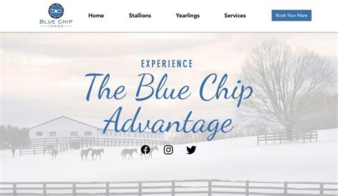 blue chip farms facebook